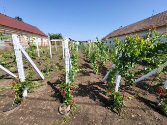 Predám pozemok v marcelovej. 1100m2 - 5