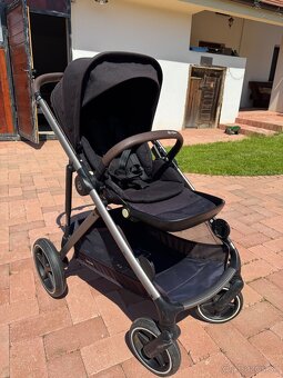 Surodenecký Cybex Gazelle S black - 5