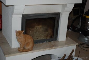 3i Rodinný dom BUNGALOV - Ružinov, Nivy, Prievoz, Palenisko - 5