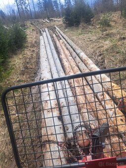 Naviják trojbodový - 5