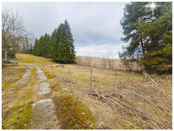 INVESTIČNÝ ZÁMER / AREÁL S POZEMKOM 51.889 m² / ĽUBEĽA - 5