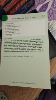 Anatomické kartičky - 5