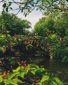 Predám Minolta Dynax 5000AF + Minolta AF 50mm f/1.7 - 5