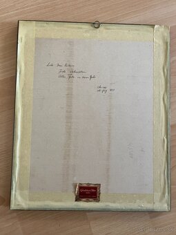 Obraz páva z motýlich krídel - 5