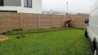 Tuja Smaragd, vavrínovec, červienka, gaštan - Rožňava - 5