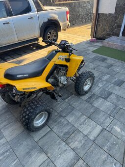 Can am ds 250 - 5