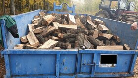 Tvrde palivove drevo suche, 5m ukladane s dovozom 260euro - 5