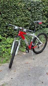 Damsky/detsky bicykel Dema Raveo Lady - 5
