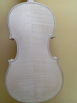 Viola - 5