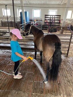 Pony kobylka k detom - 5