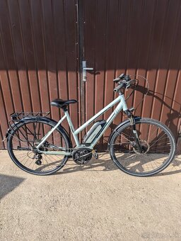 Triumph Bosch - 5