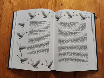 Rozprávky Hansa Christiana Andersena - 5