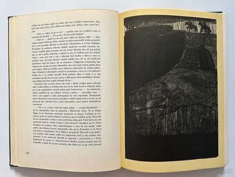 BÚRLIVÉ VÝŠINY + ďalšie knihy - 5