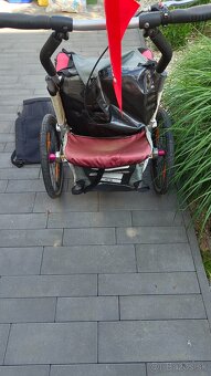Thule chariot CX - 5