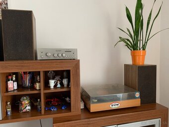 Gramofon Tesla - 5