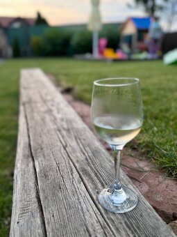 Prijmeme barmana/barmanku - 5