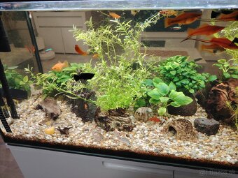 Predám 160l akvárium - 5