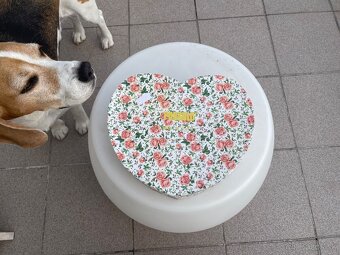 Porcelánové šálky - 5