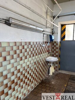 Prenájom Priestoru 135m2 - Galanta - 5