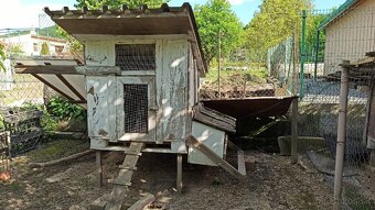 Kuríny - 5