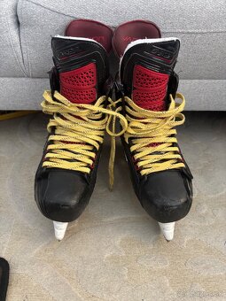 Bauer Vapor 1x korcule - 5