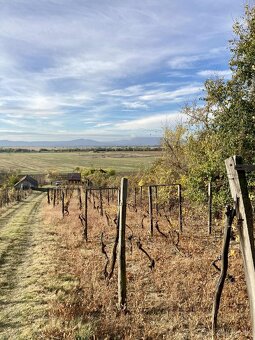 Vinica s chatkou – Hegyfarok, Kamenný Most – predaj/výmena - 5