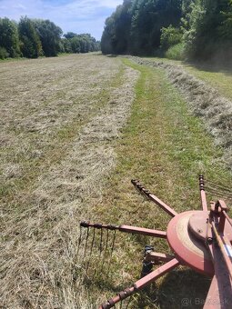 Seno možno doviesť - 5