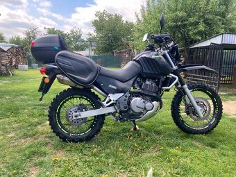 Suzuki XF 650 - 5