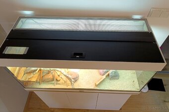 Terarium komplet - 5