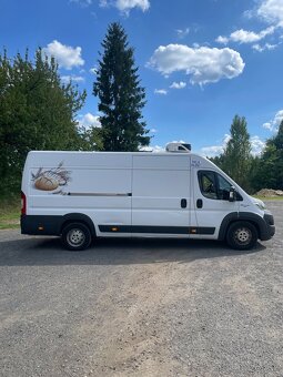 ✅Fiat Ducato 2.3 MultiJet 2017 Chladiak-Mraziak Carrier - 5