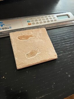 Fosília, skamenelina, rybka - inzerát č.11 Libanon - 5