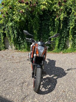 KTM duke 125 - 5