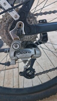 Kellys Salamander - 5