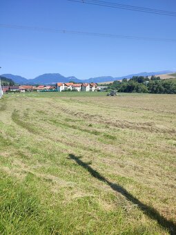 Seno,mladza horcica - 5