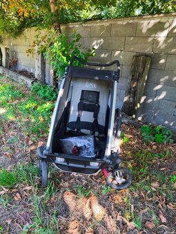 Thule chariot Elite 1 - 5