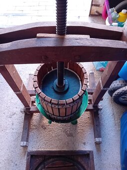 Lis na hrozno ovocie - 5