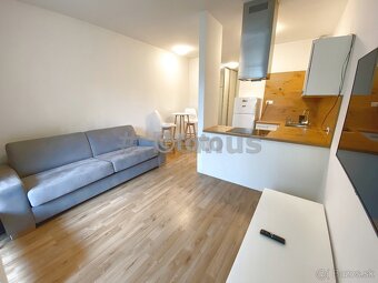 Nájom 1i byt, Bajkalská, Nový Ružinov,balkon,výťah - 5