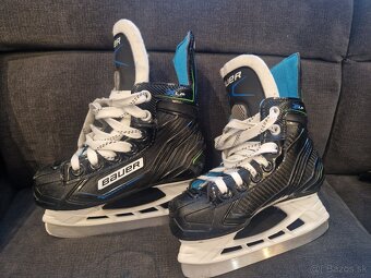 Bauer - 5