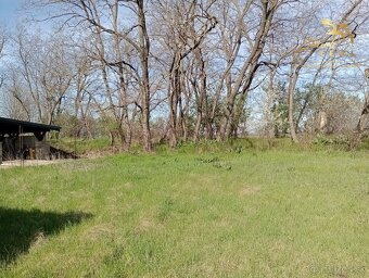 Slnečný pozemok v Poľnom Kesove - 5