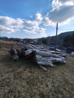 Predám orechové drevo - 5