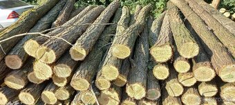 Agatove koly stlpy - 5