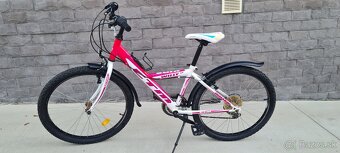 Ctm 24" willy - 5