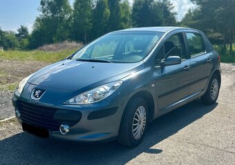Peugeot 307 - 5