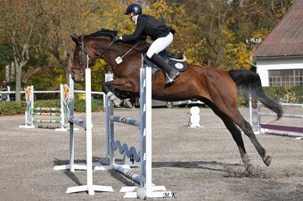 KOBYLKA NA AKTIVNÍ REKREACI / HOBBY SPORT - 5