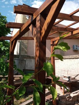 Pergola na hrozno, kvety atď. - 5