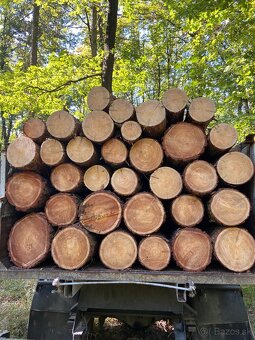 Palivové drevo - 5