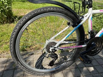 Kenzel Roxis 26 - 5
