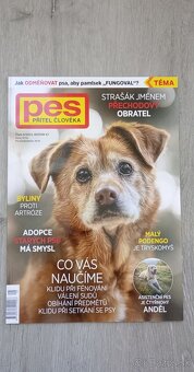 Pes přítel člověka - 5