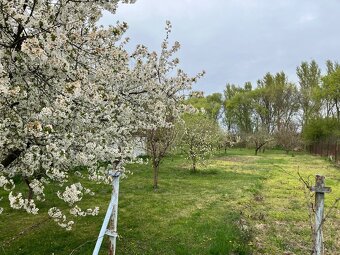 Rodinný dom na predaj - 5