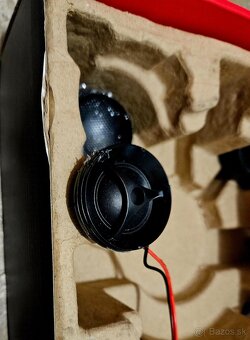 Morel maximus 602 v2 - 5